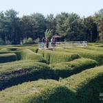 Labyrinthe de Gimnyeong